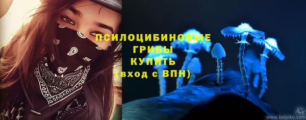 СК Балахна