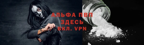 спайс Беломорск
