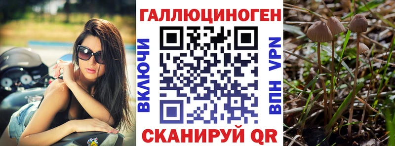 купить наркотик  Кулебаки  Псилоцибиновые грибы прущие грибы 